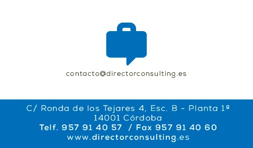 Bienvenido a Director Consulting